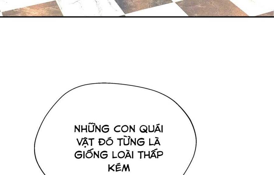 Ánh Sáng Cuối Con Đường: Chương 147