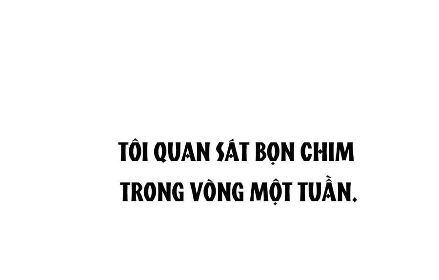 Ánh Sáng Cuối Con Đường: Chương 156