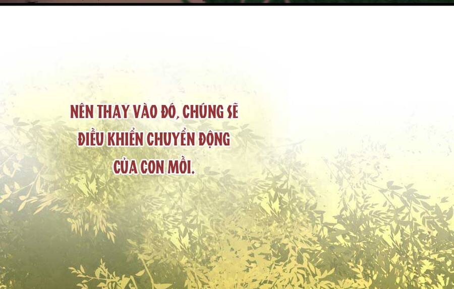 Ánh Sáng Cuối Con Đường: Chương 156