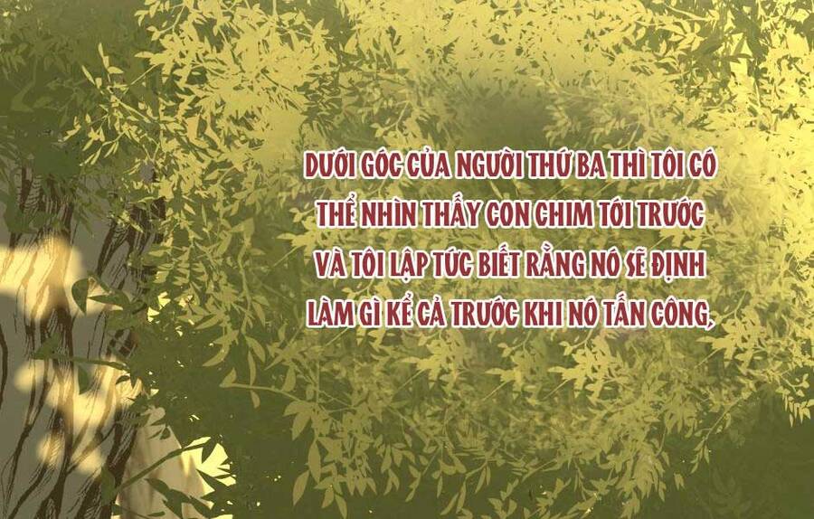 Ánh Sáng Cuối Con Đường: Chương 156