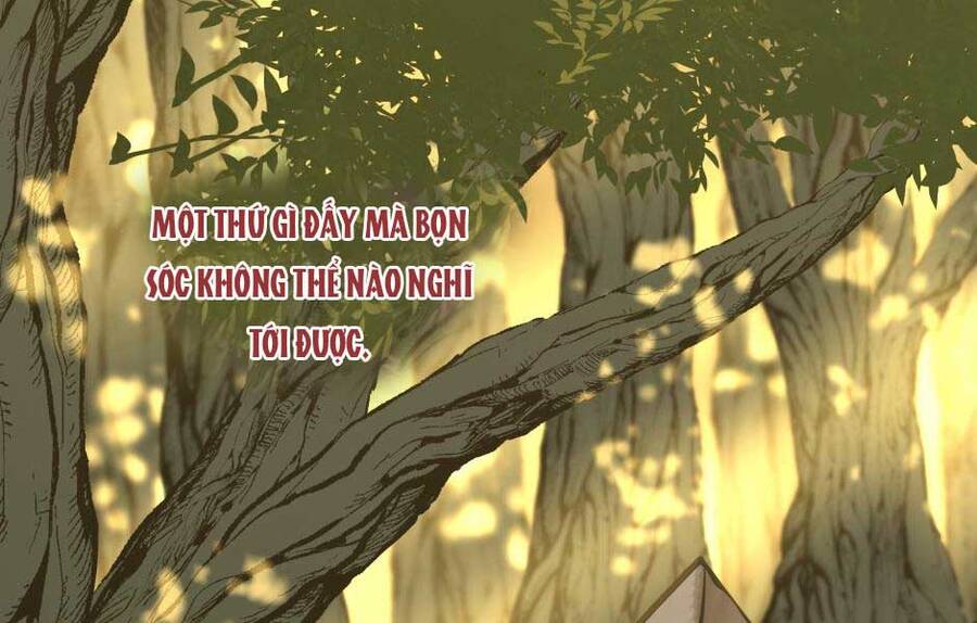 Ánh Sáng Cuối Con Đường: Chương 156