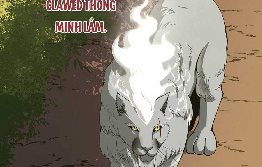 Ánh Sáng Cuối Con Đường: Chương 156