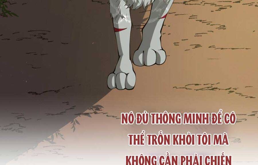 Ánh Sáng Cuối Con Đường: Chương 156