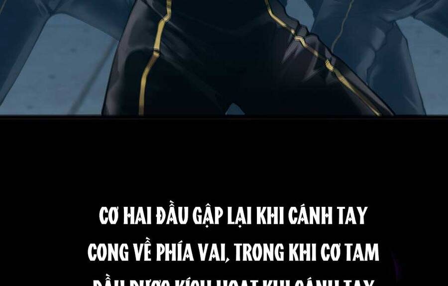 Ánh Sáng Cuối Con Đường: Chương 156