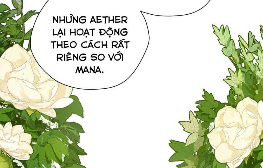 Ánh Sáng Cuối Con Đường: Chương 158