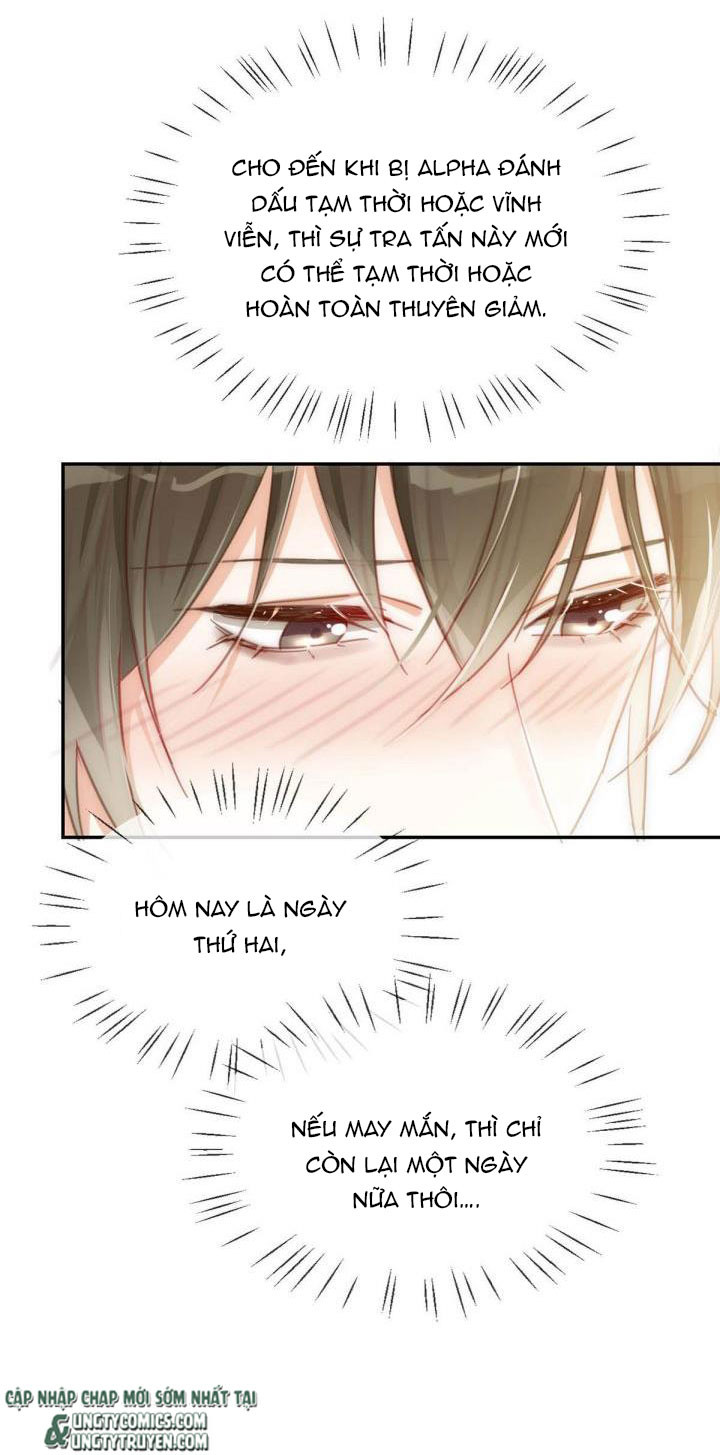Nịch Tửu: Chapter 11