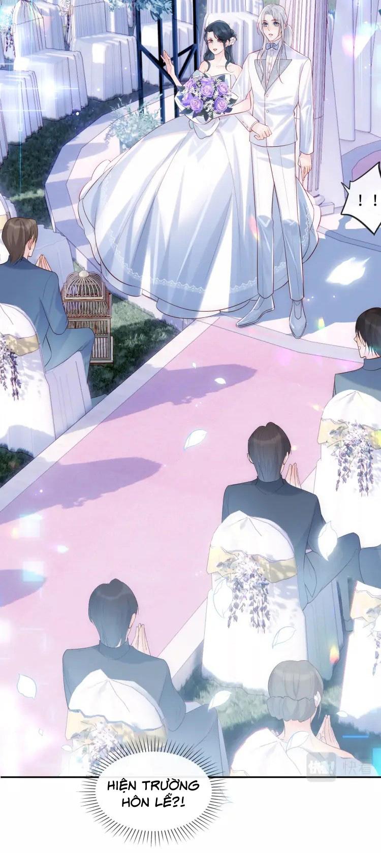 Các Nguyên Soái Đồng Loạt Đòi Ly Hôn: Chapter 1