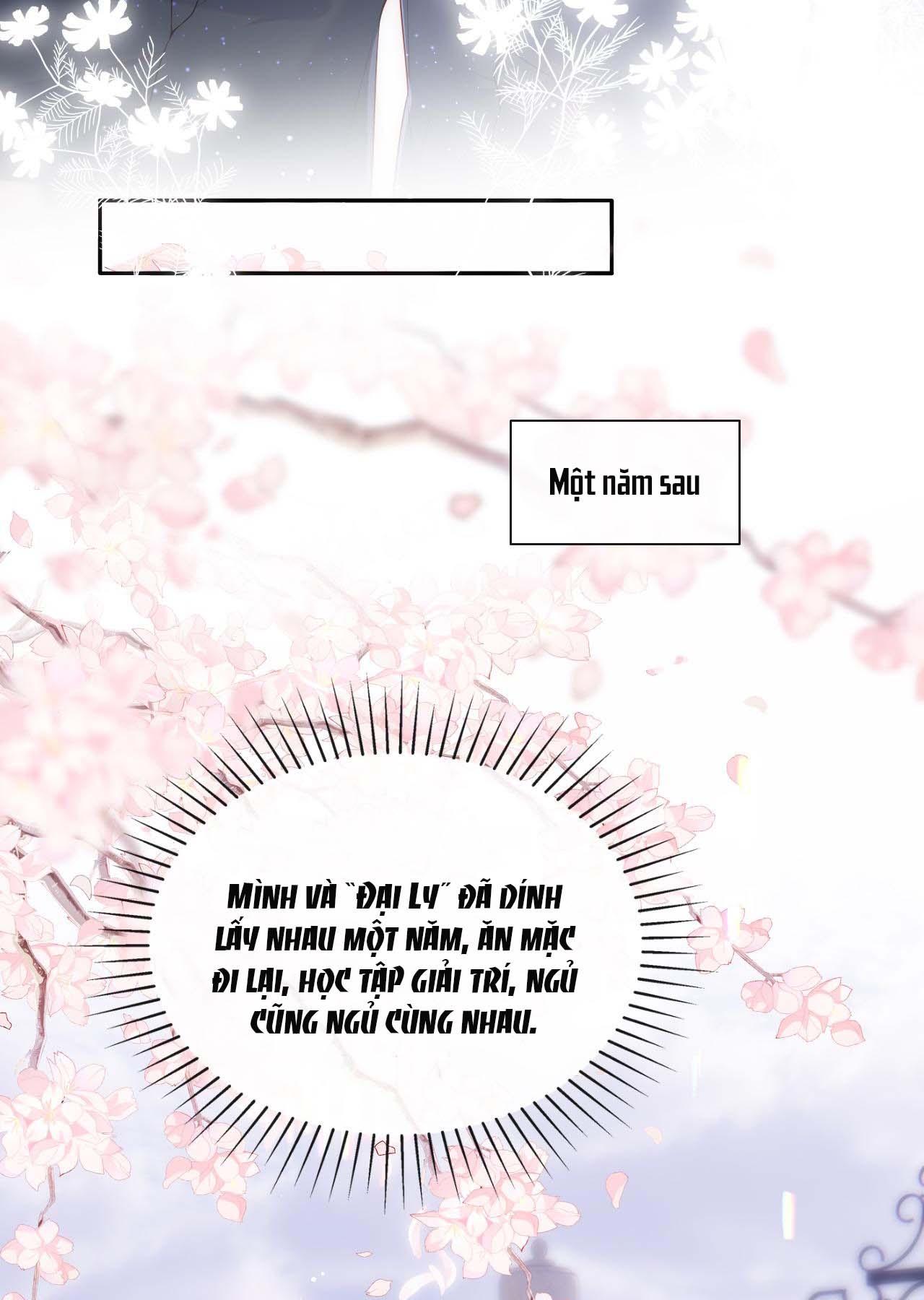 Các Nguyên Soái Đồng Loạt Đòi Ly Hôn: Chapter 19