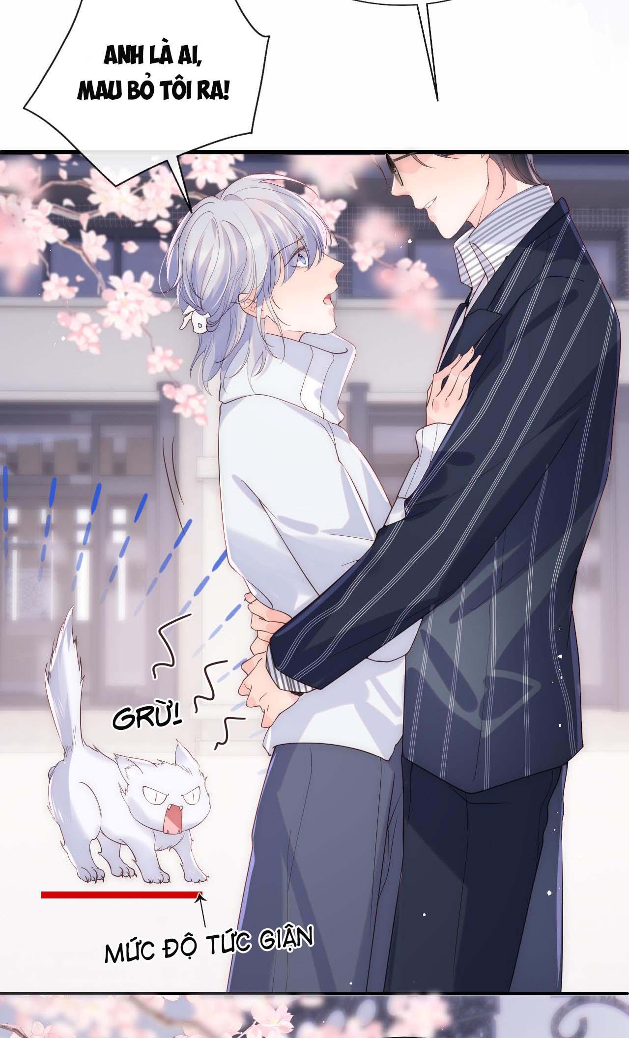 Các Nguyên Soái Đồng Loạt Đòi Ly Hôn: Chapter 19
