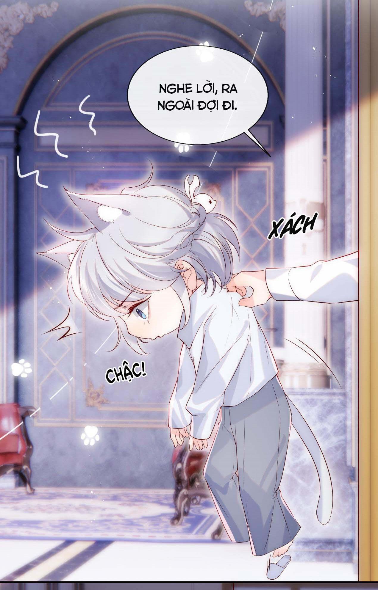 Các Nguyên Soái Đồng Loạt Đòi Ly Hôn: Chapter 20