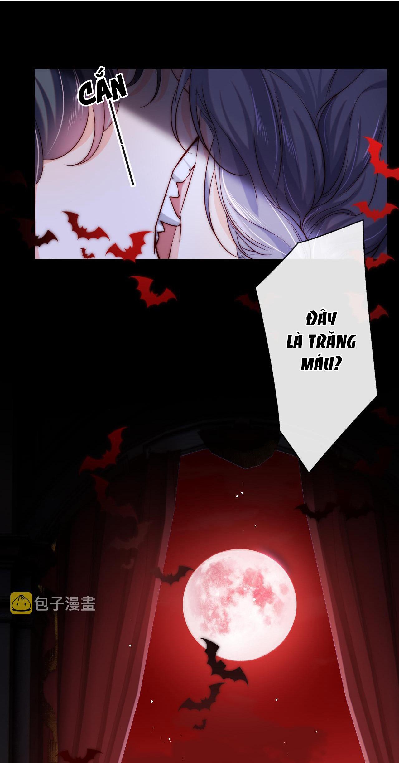 Các Nguyên Soái Đồng Loạt Đòi Ly Hôn: Chapter 39