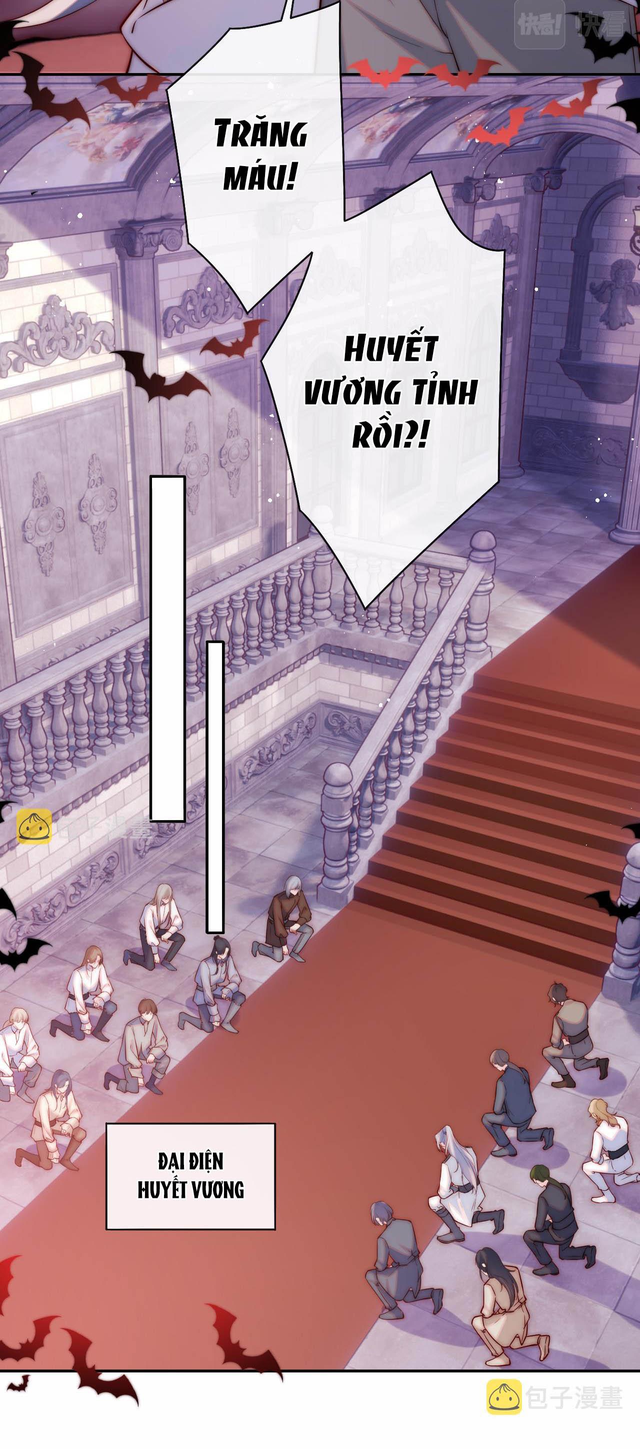 Các Nguyên Soái Đồng Loạt Đòi Ly Hôn: Chapter 41