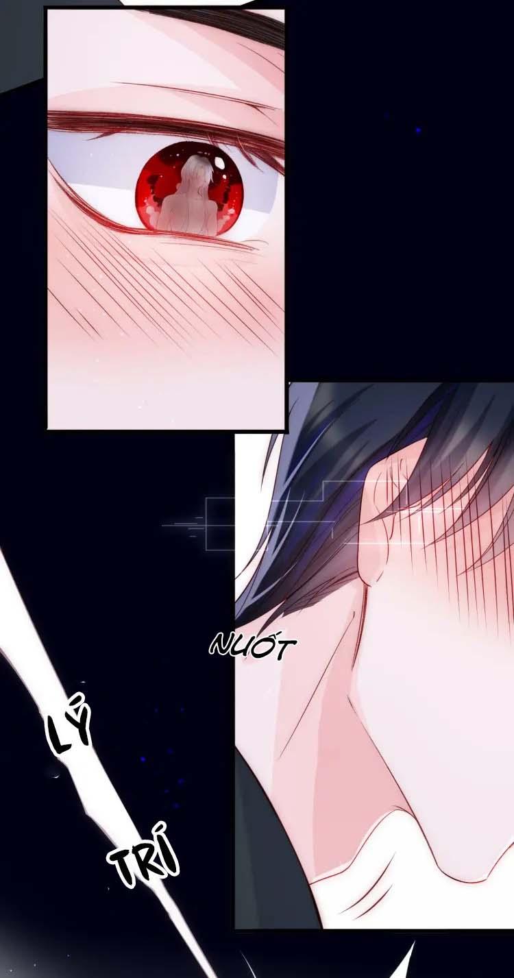 Các Nguyên Soái Đồng Loạt Đòi Ly Hôn: Chapter 5