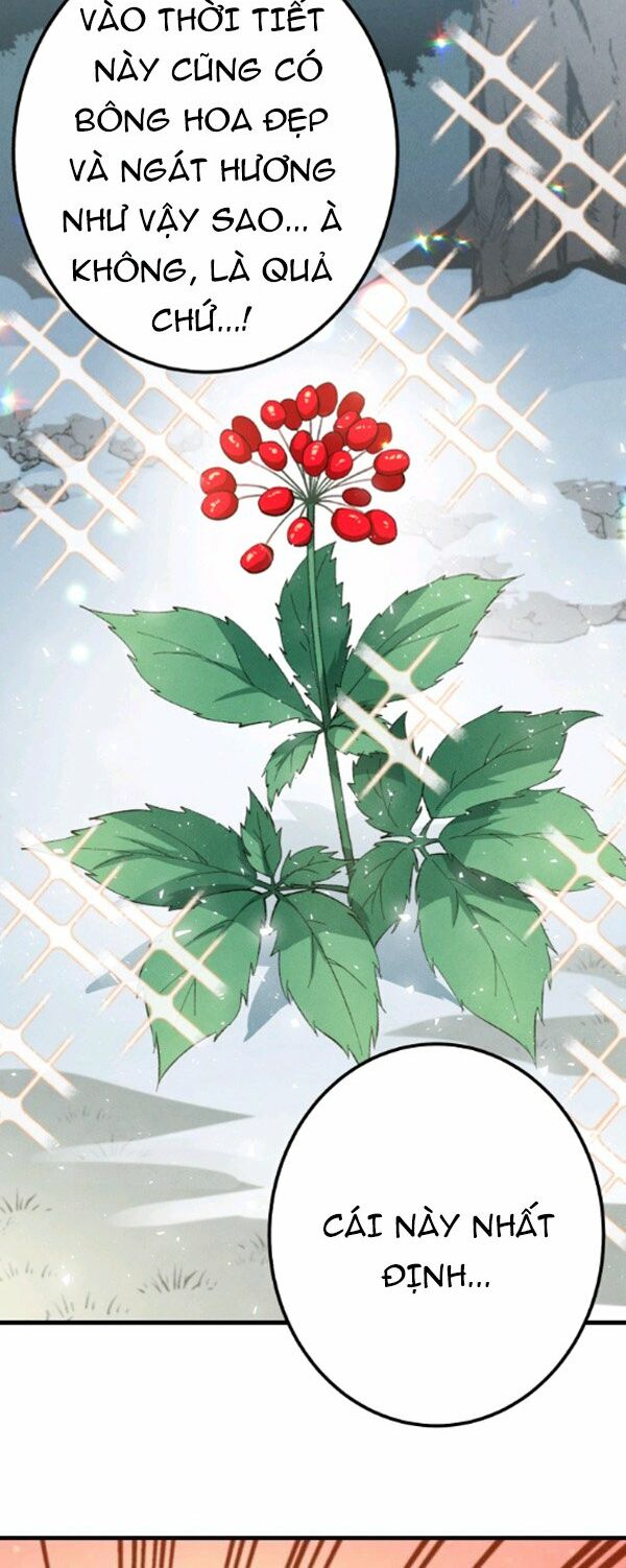 Phi Lôi Đạo: Chapter 11