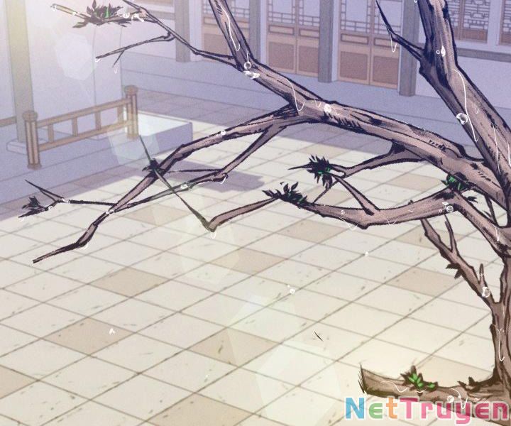 Phi Lôi Đạo: Chapter 113