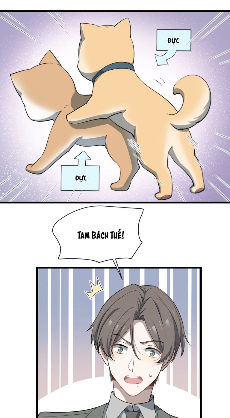 Công Thức Mỹ Học: Chapter 68