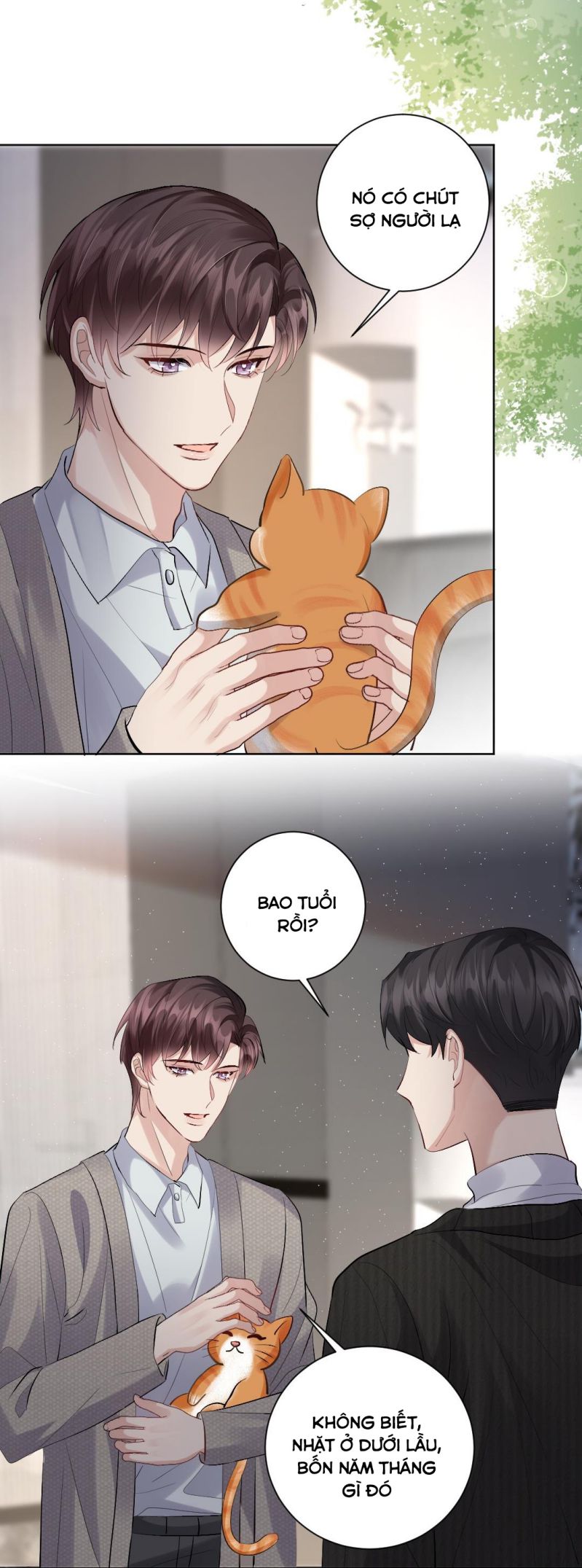 Máy Bay Giấy: Chapter 85