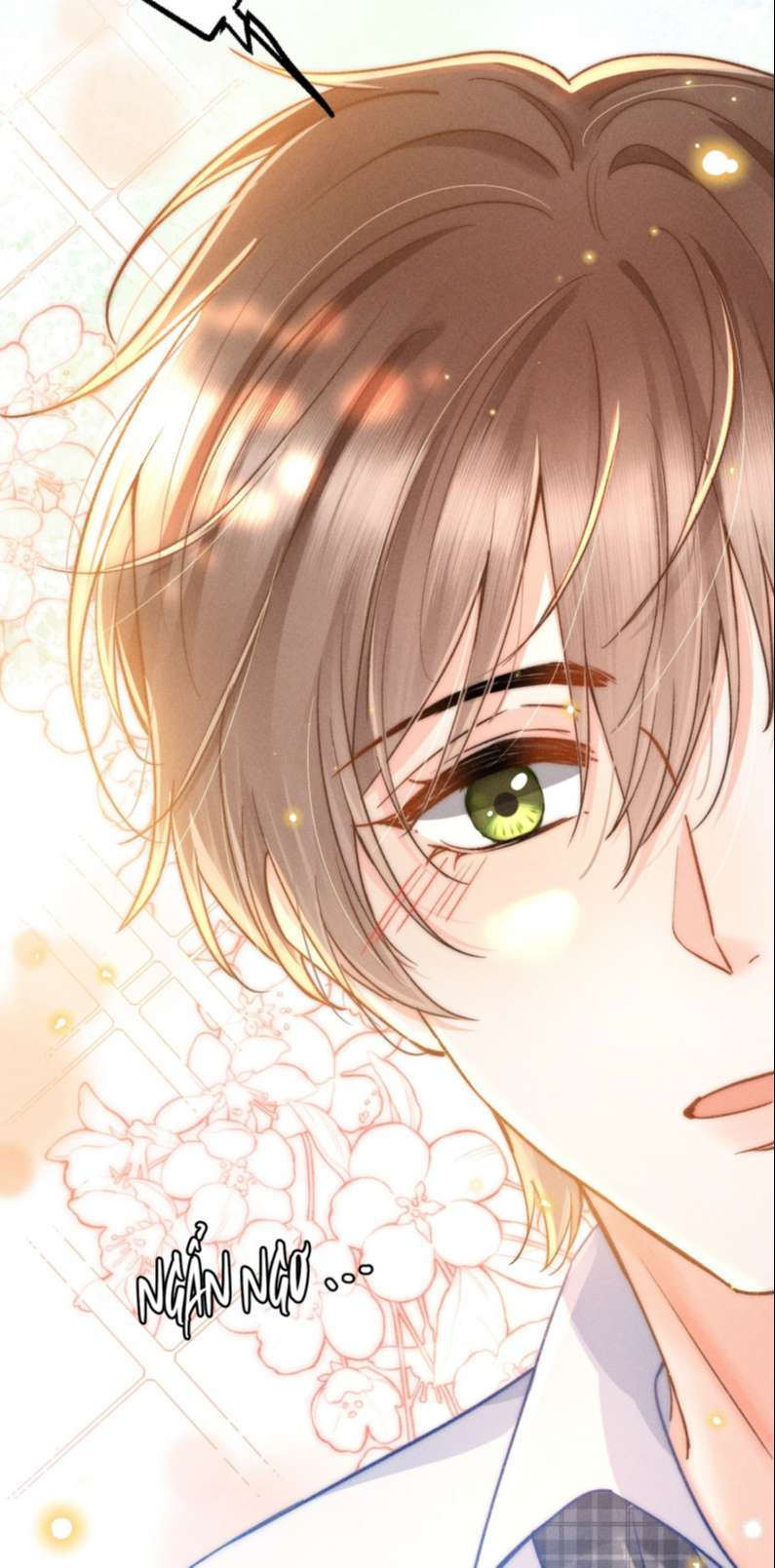 Ánh Trăng Vì Tôi Mà Đến: Chapter 17