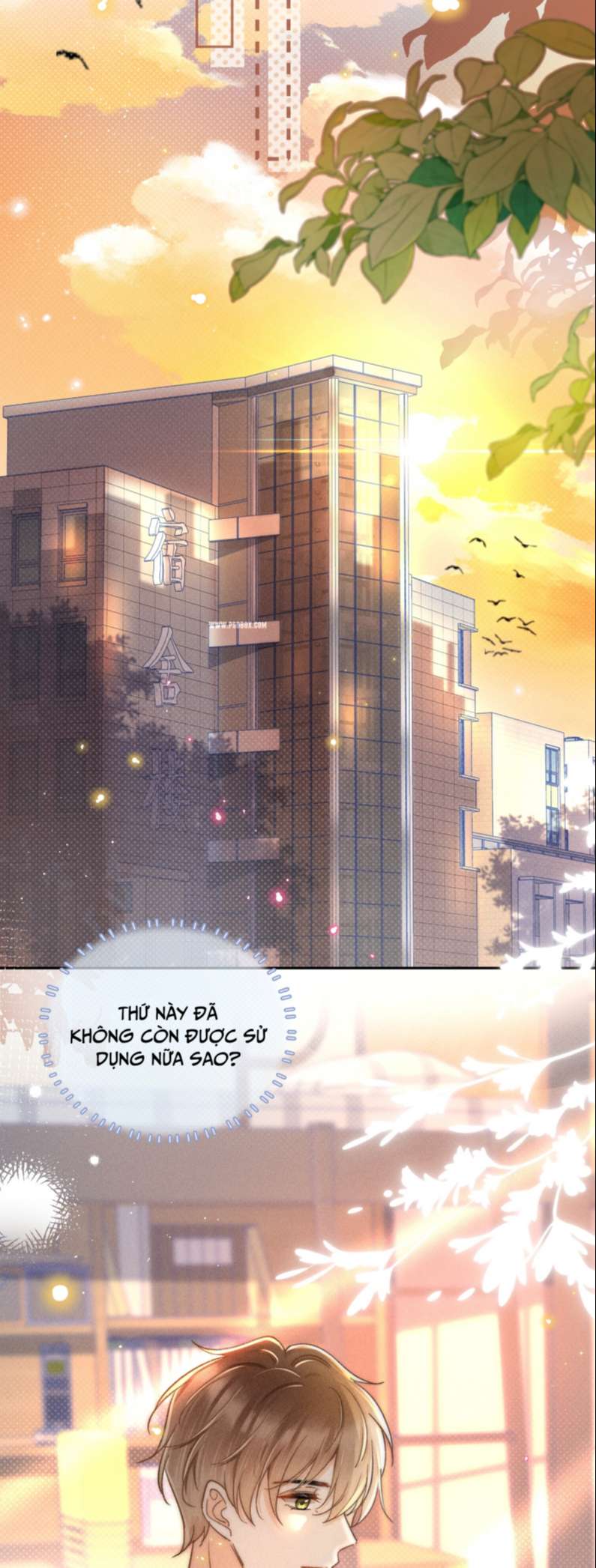 Ánh Trăng Vì Tôi Mà Đến: Chapter 18