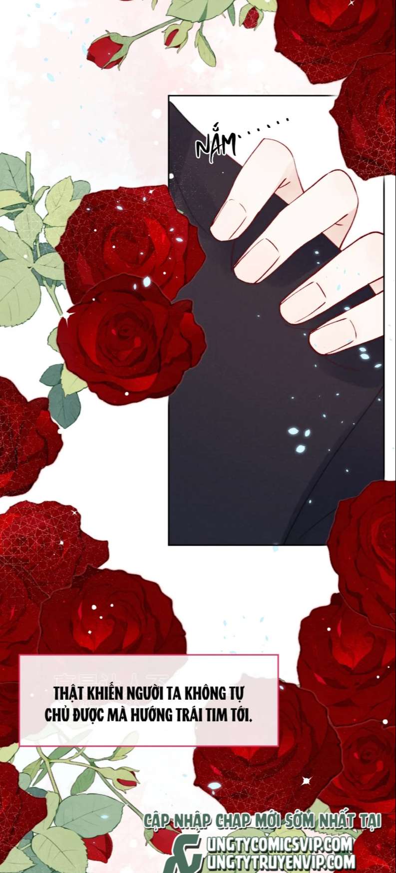 Nhật Ký Thất Tình Của Nhung Tiên Sinh: Chapter 6