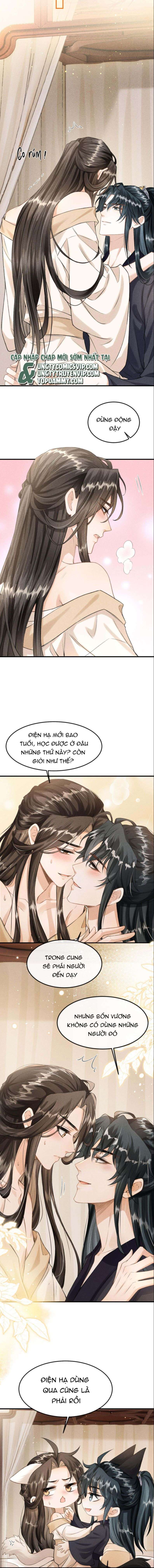 Đan Tiêu Vạn Dặm: Chapter 21