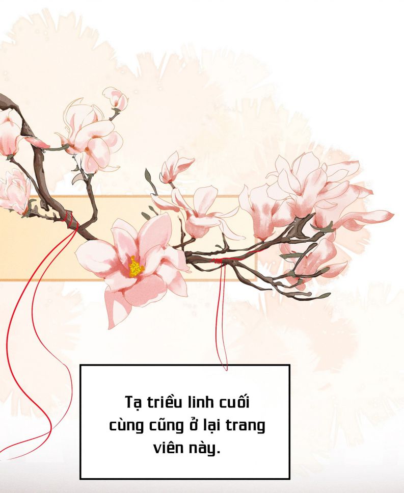 Đan Tiêu Vạn Dặm: Chapter 43