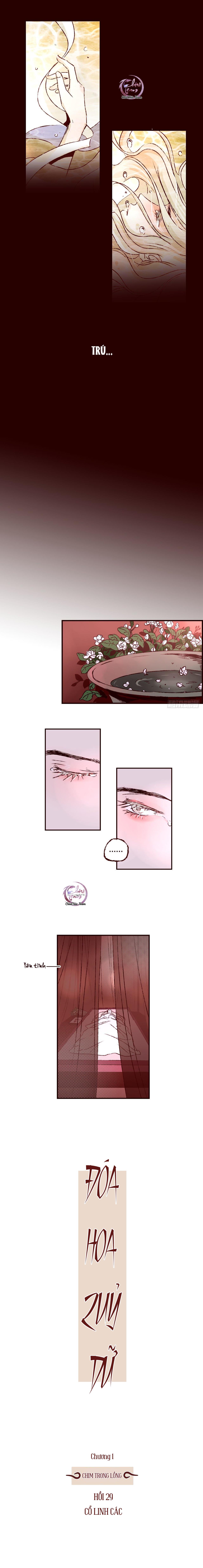 Đóa Hoa Quỷ Dữ: Chapter 29