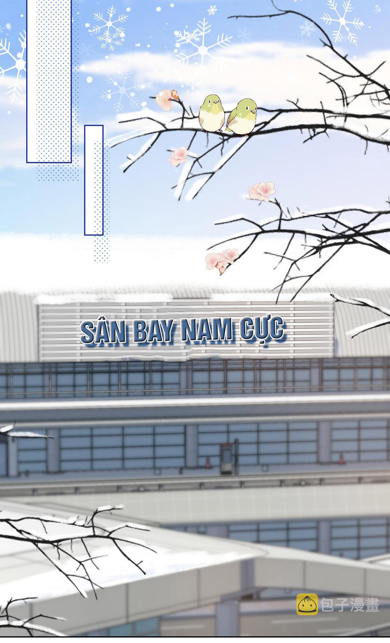 [Ss2] Một Ngụm Ăn Cả Thỏ Con: Chapter 1