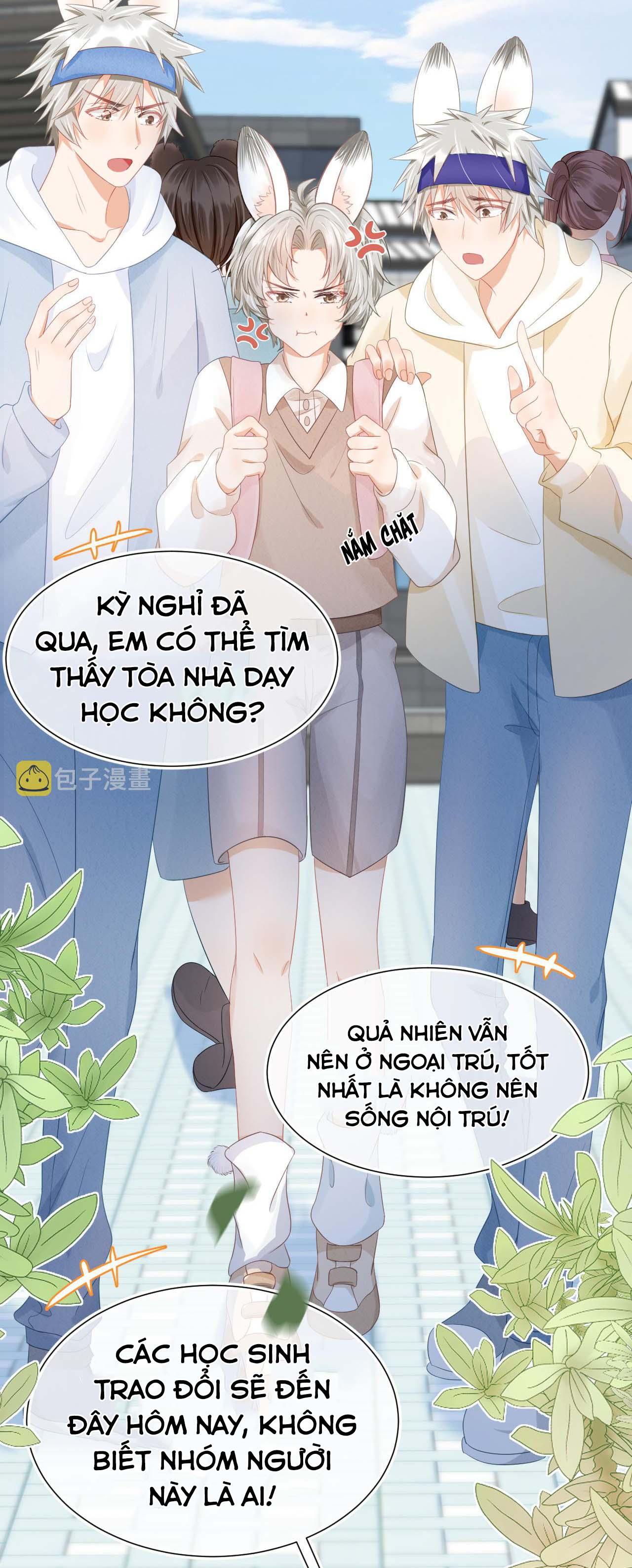 [Ss2] Một Ngụm Ăn Cả Thỏ Con: Chapter 1