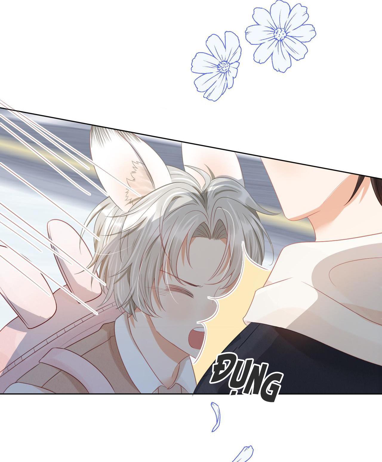 [Ss2] Một Ngụm Ăn Cả Thỏ Con: Chapter 1