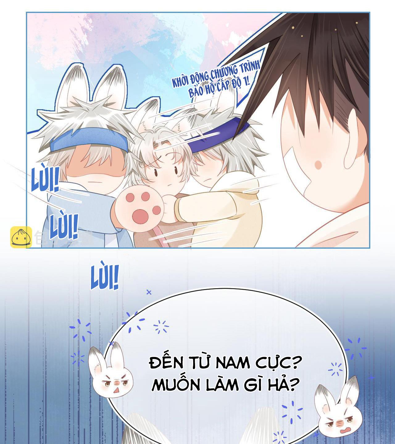 [Ss2] Một Ngụm Ăn Cả Thỏ Con: Chapter 1