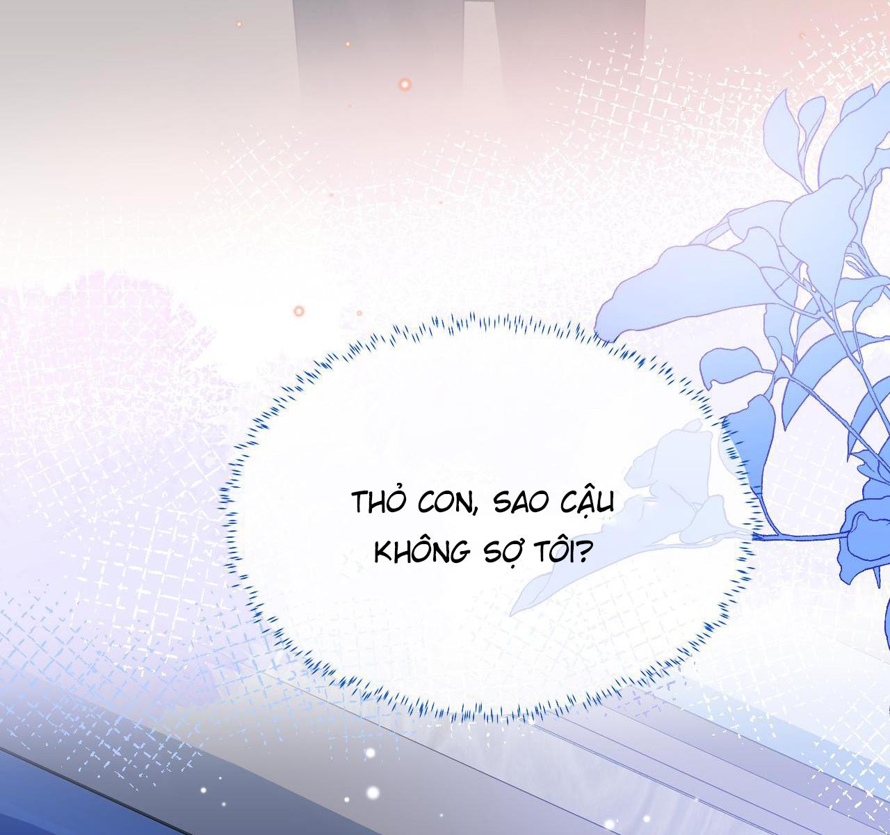 [Ss2] Một Ngụm Ăn Cả Thỏ Con: Chapter 12