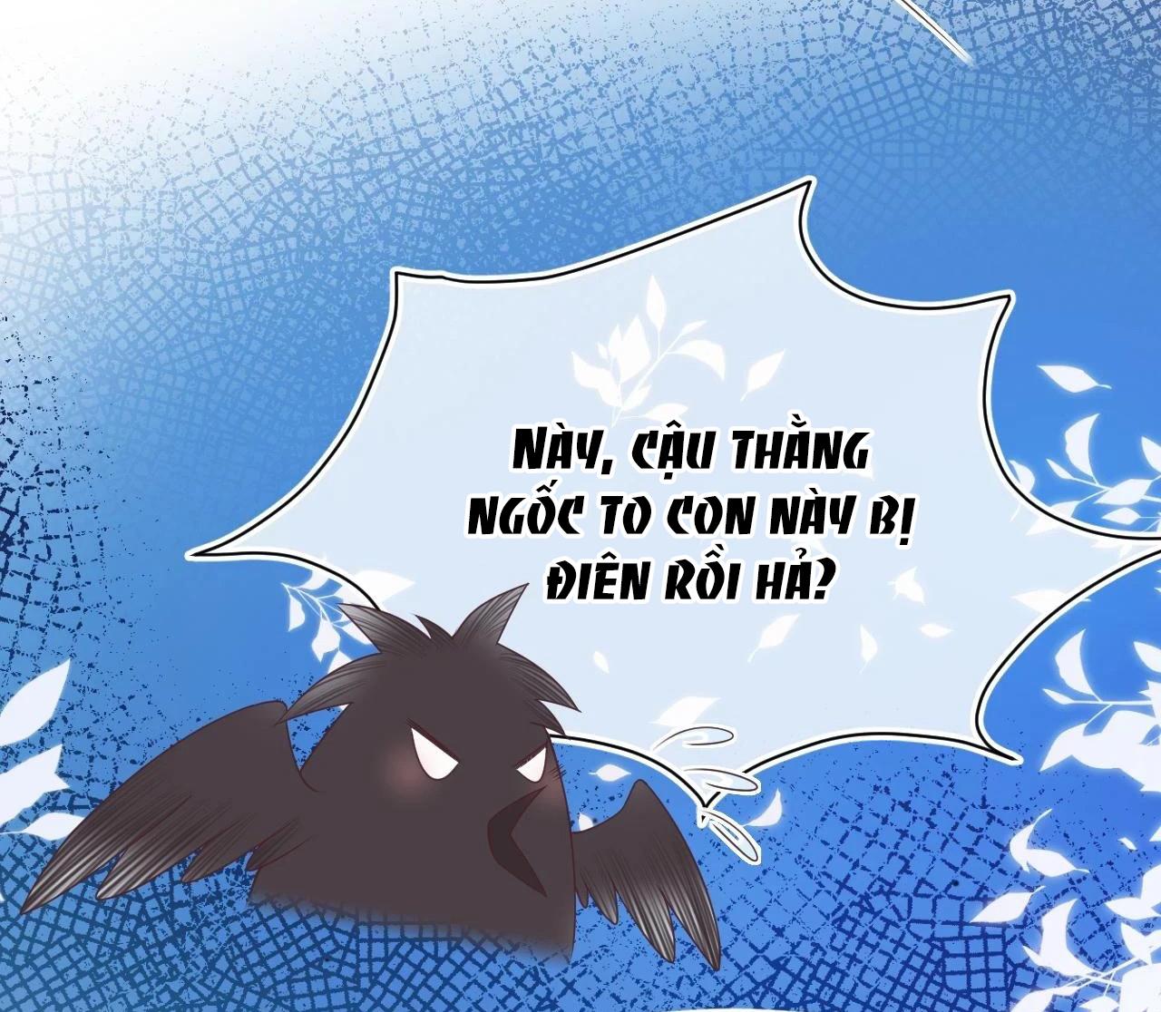 [Ss2] Một Ngụm Ăn Cả Thỏ Con: Chapter 13