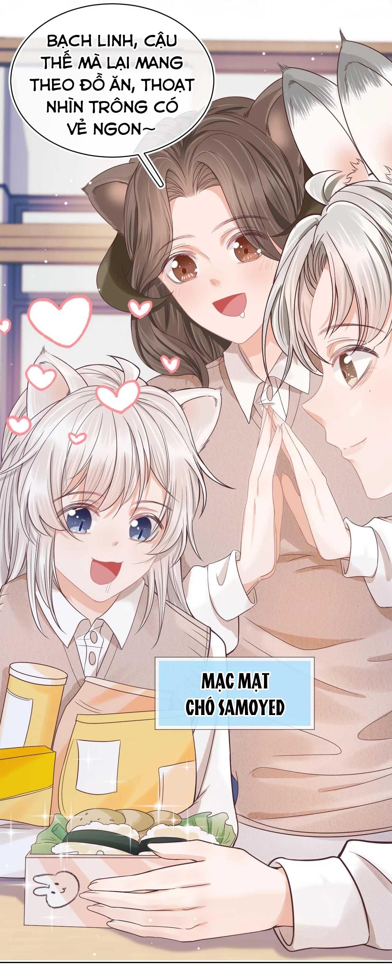 [Ss2] Một Ngụm Ăn Cả Thỏ Con: Chapter 13