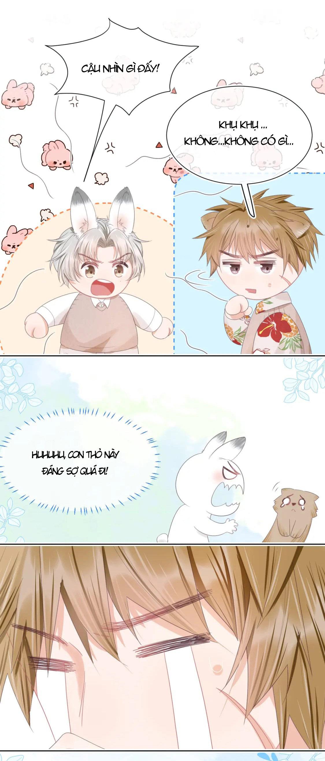 [Ss2] Một Ngụm Ăn Cả Thỏ Con: Chapter 15