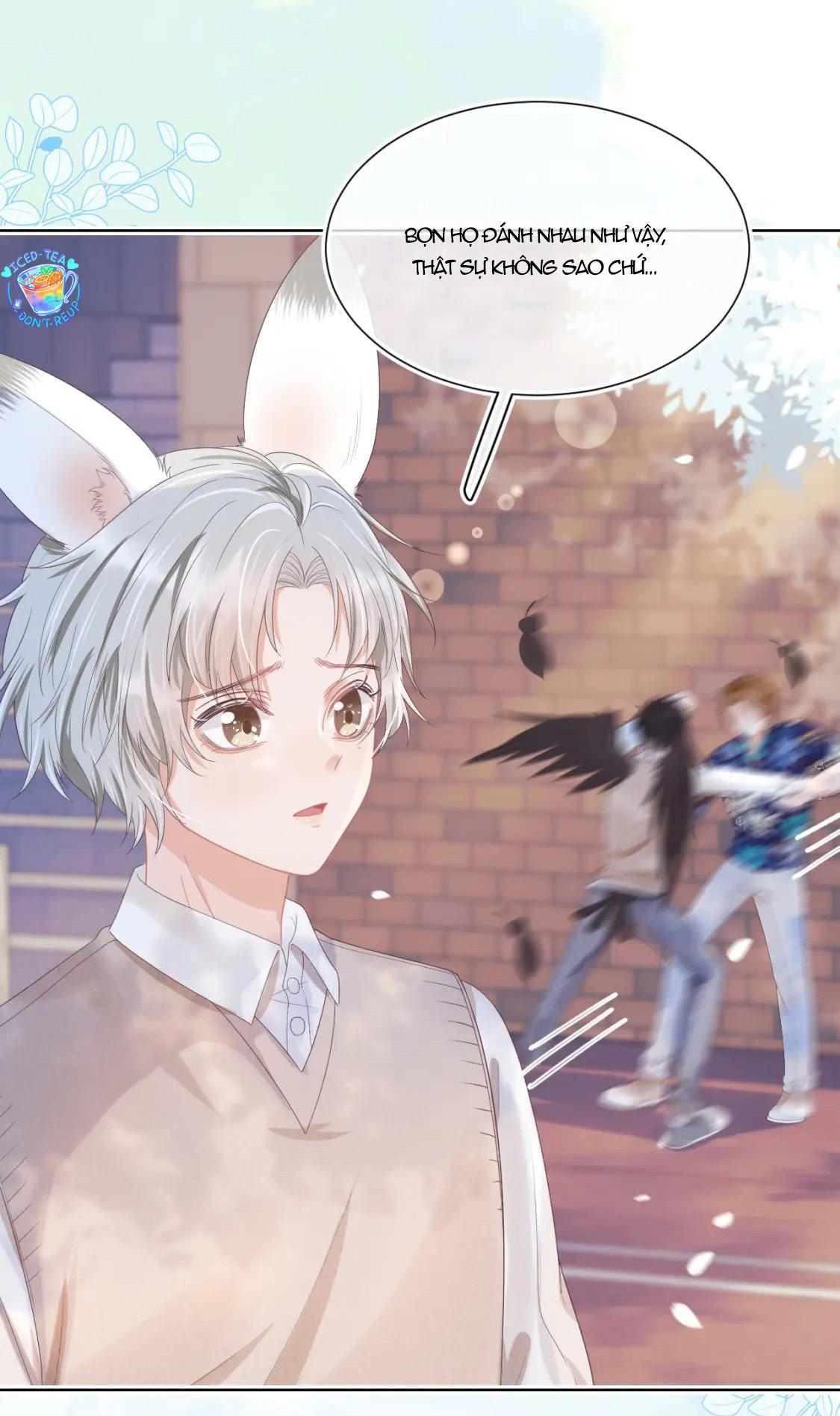 [Ss2] Một Ngụm Ăn Cả Thỏ Con: Chapter 15