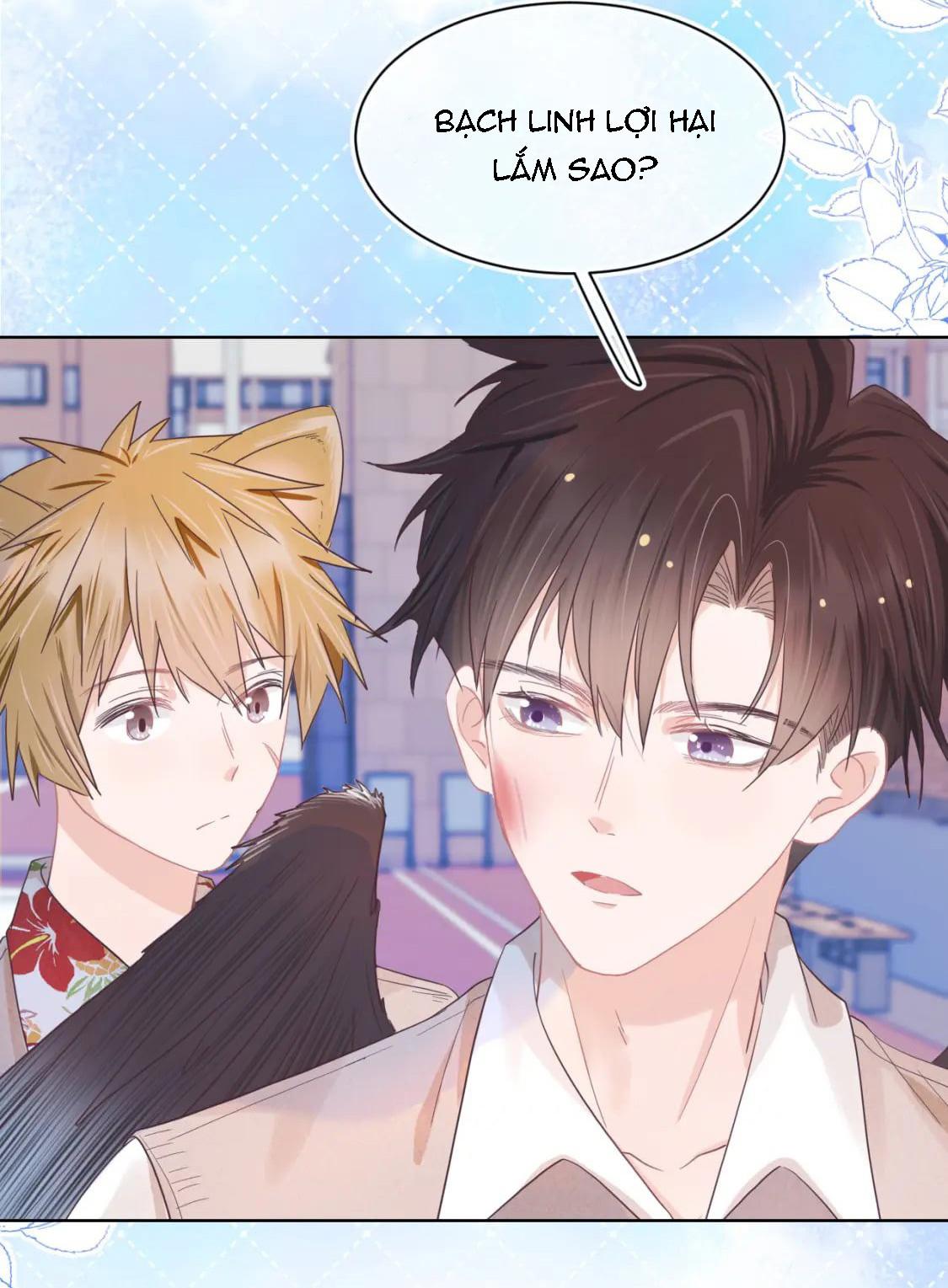 [Ss2] Một Ngụm Ăn Cả Thỏ Con: Chapter 17
