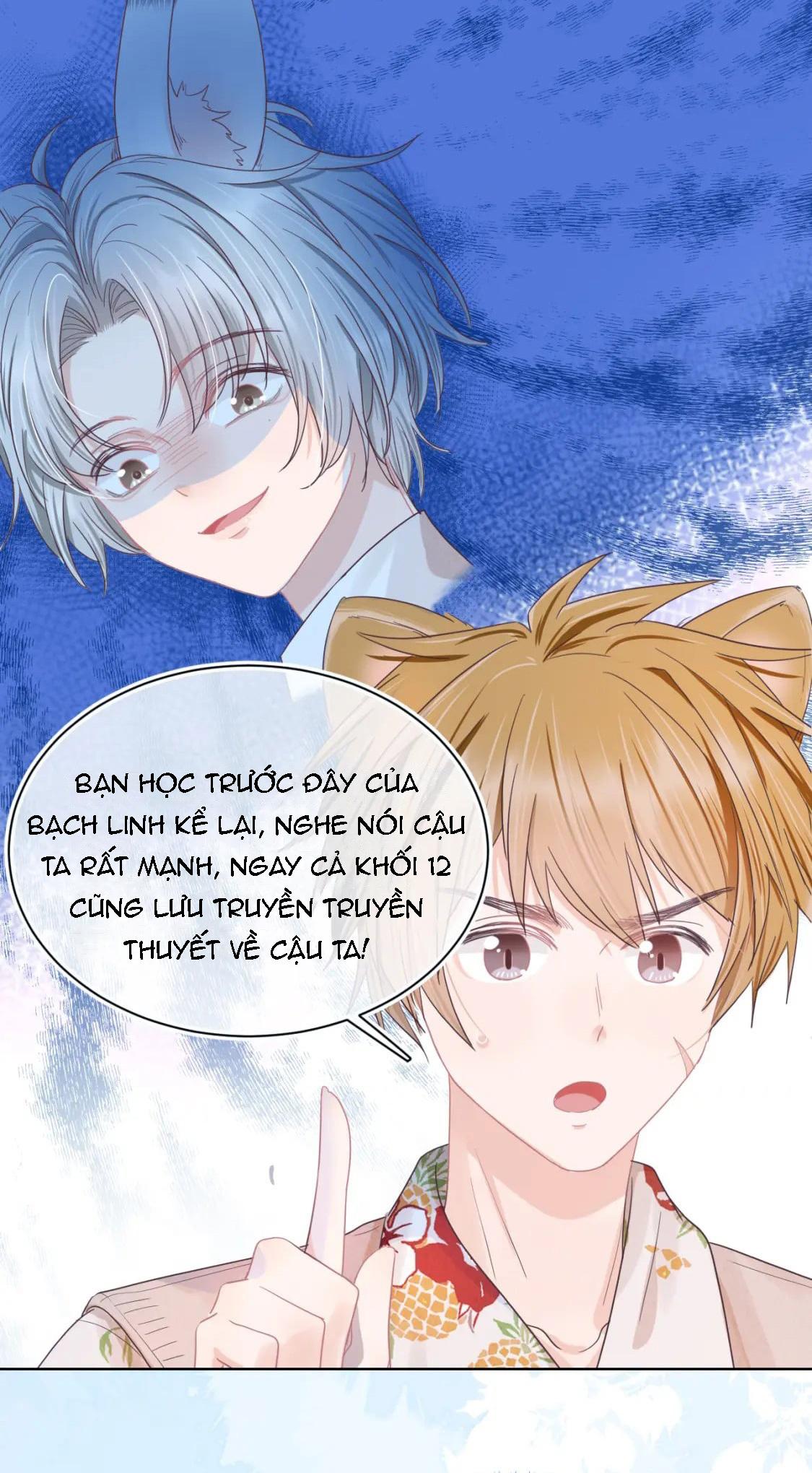 [Ss2] Một Ngụm Ăn Cả Thỏ Con: Chapter 17