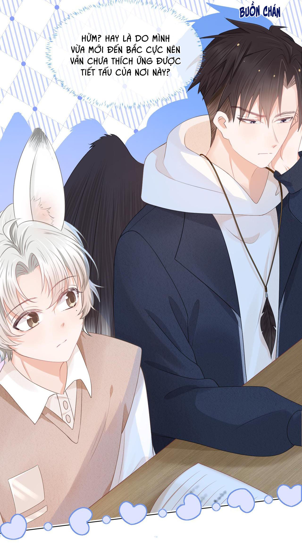 [Ss2] Một Ngụm Ăn Cả Thỏ Con: Chapter 2
