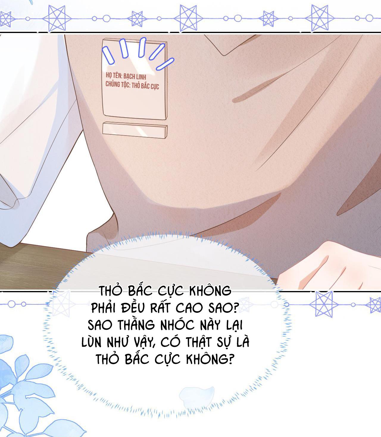 [Ss2] Một Ngụm Ăn Cả Thỏ Con: Chapter 2