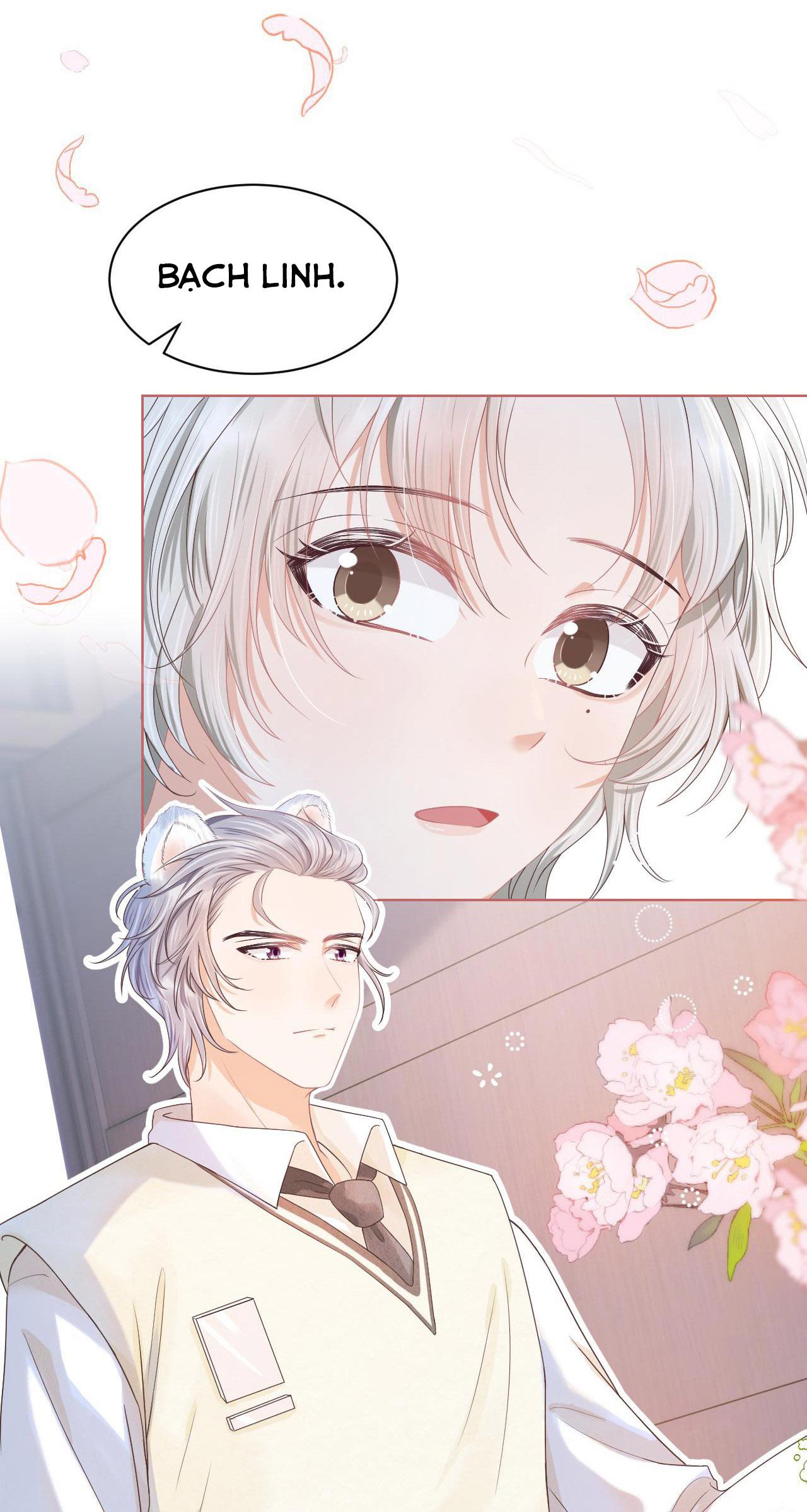 [Ss2] Một Ngụm Ăn Cả Thỏ Con: Chapter 2