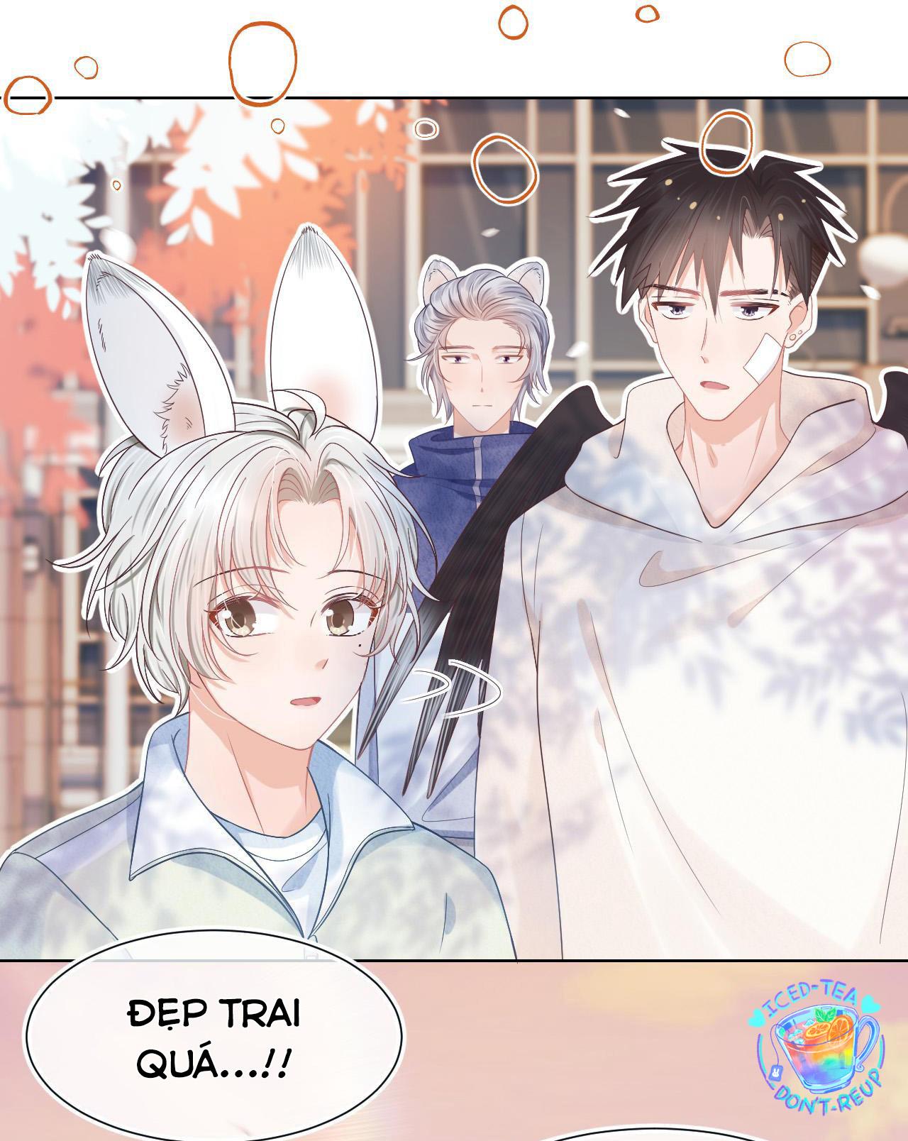 [Ss2] Một Ngụm Ăn Cả Thỏ Con: Chapter 3