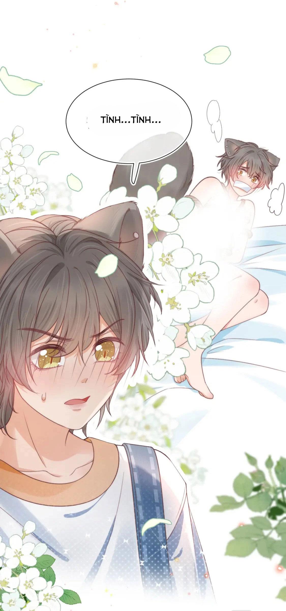 [Ss2] Một Ngụm Ăn Cả Thỏ Con: Chapter 34