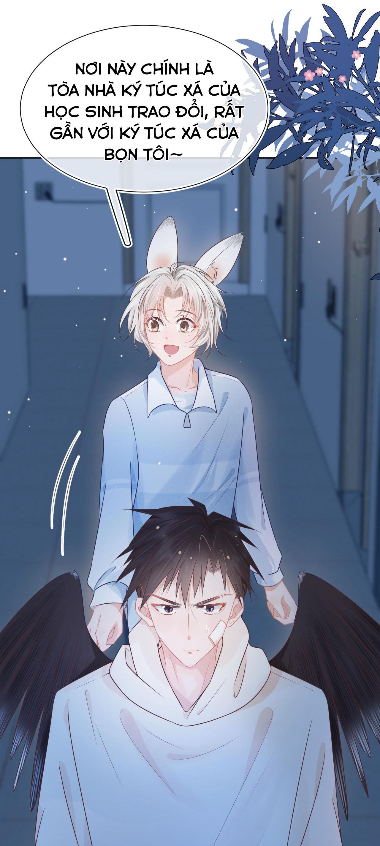 [Ss2] Một Ngụm Ăn Cả Thỏ Con: Chapter 4