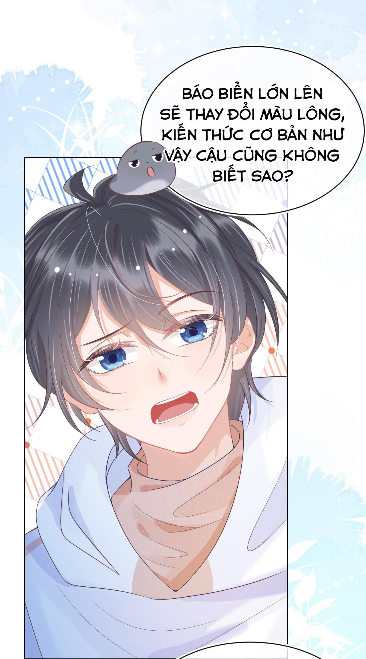 [Ss2] Một Ngụm Ăn Cả Thỏ Con: Chapter 6