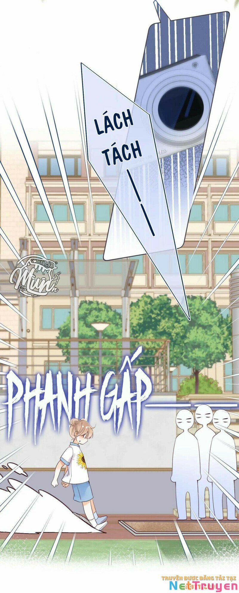 Vụng Trộm Không Giấu Được: Chapter 24