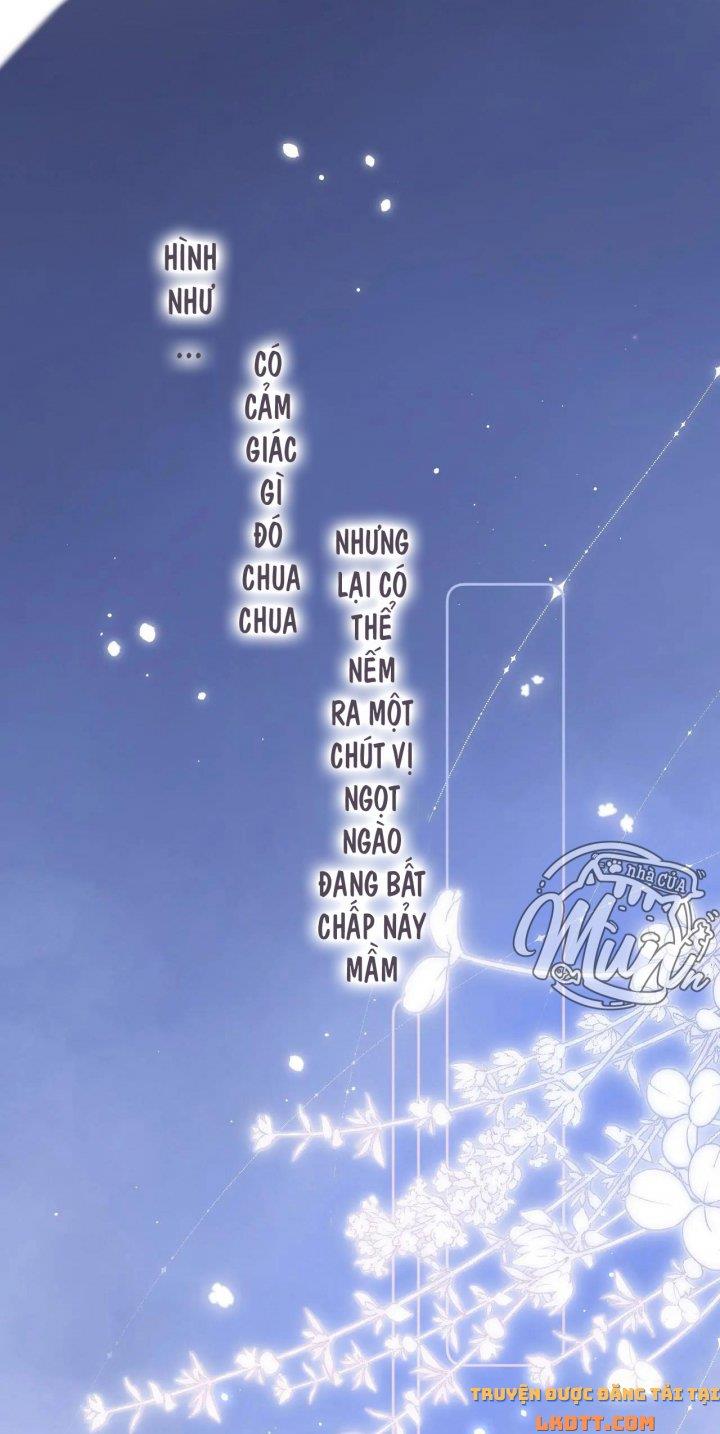 Vụng Trộm Không Giấu Được: Chapter 7