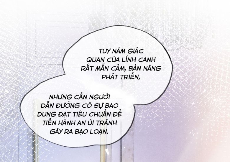 Người Dẫn Đường Có Phải Trùng Sinh Rồi Không: Chapter 1