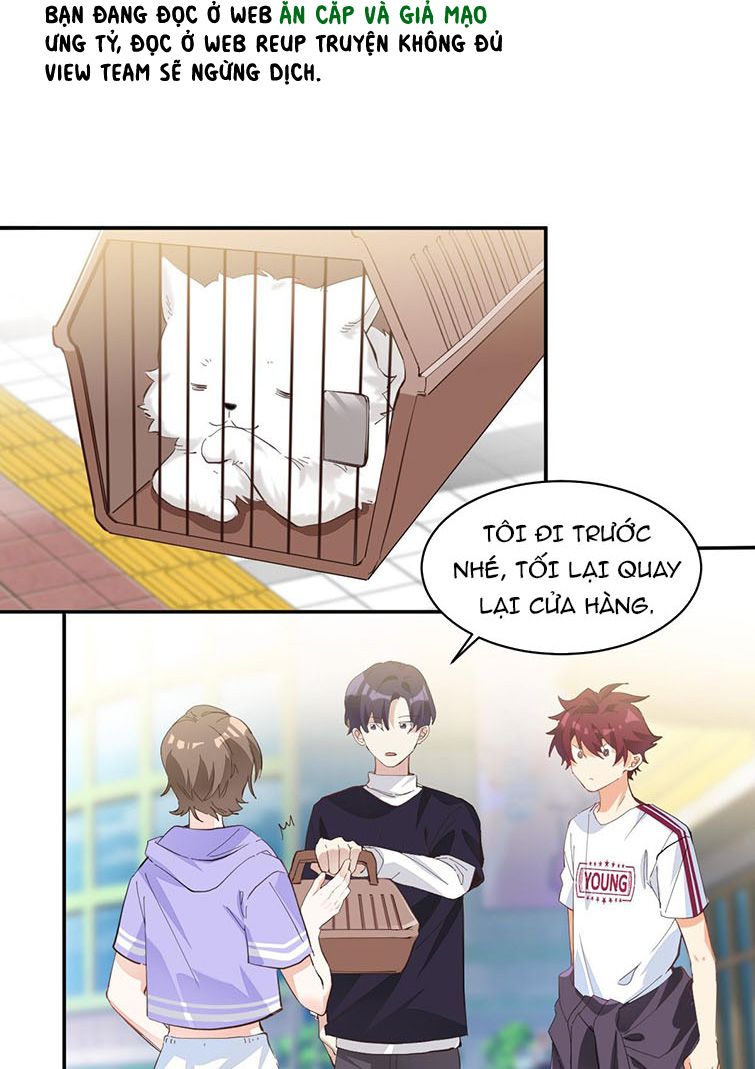 Tình Yêu Trên Mạng Của Giáo Bá Lật Xe Rồi: Chapter 5