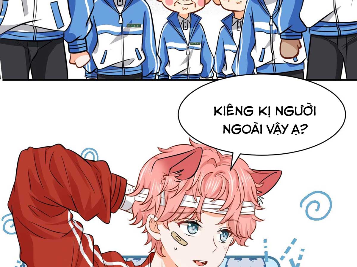 Tin Tức Tố Nói Chúng Ta Không Có Khả Năng: Chapter 24